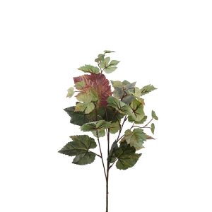 Sidenblomma kvist - LÖNNKVIST